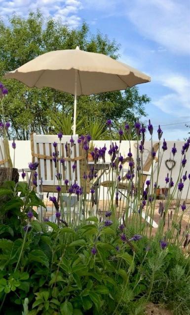 Todos Y Tonya Bed & Breakfast Archidona Ngoại thất bức ảnh