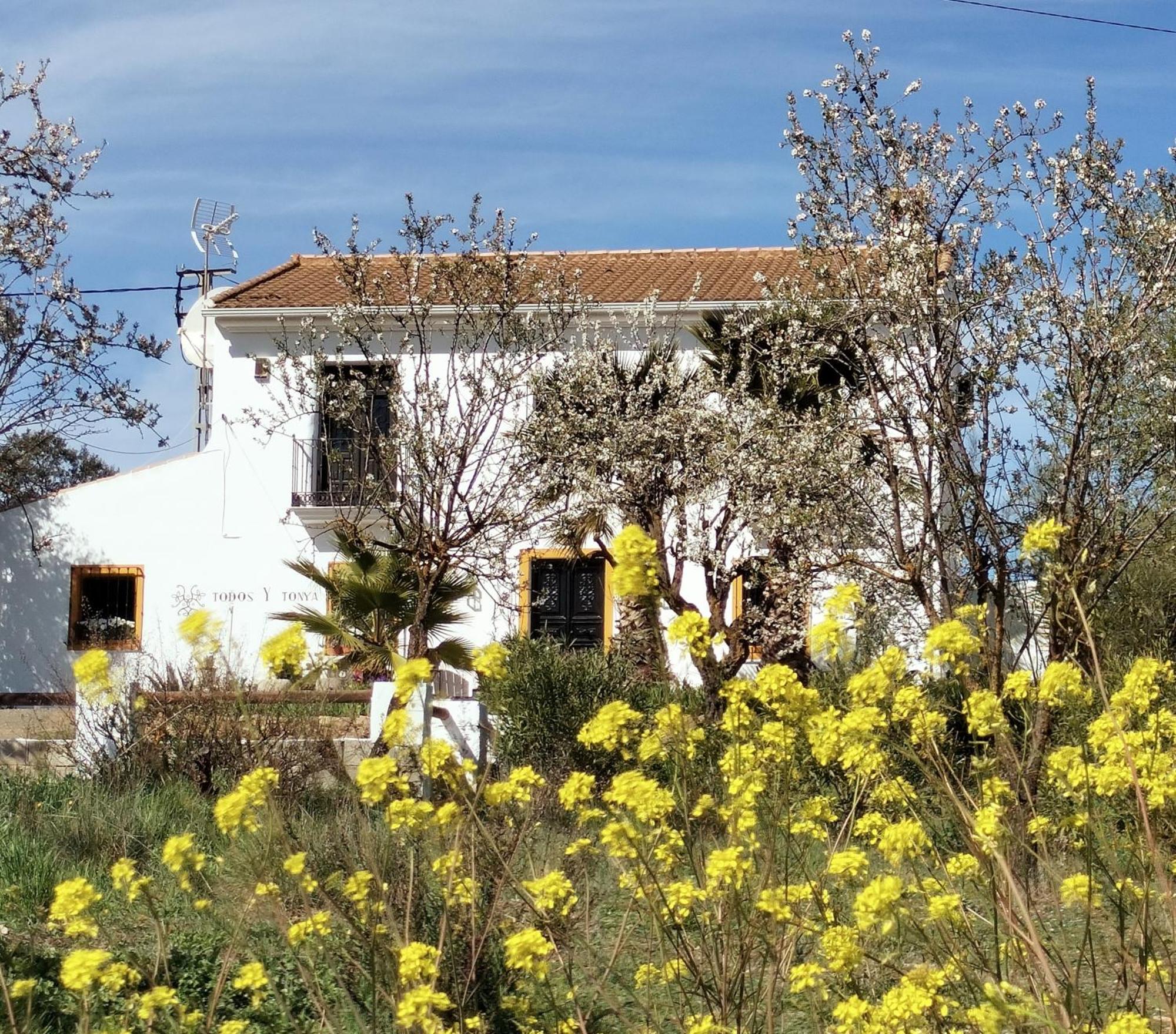 Todos Y Tonya Bed & Breakfast Archidona Ngoại thất bức ảnh