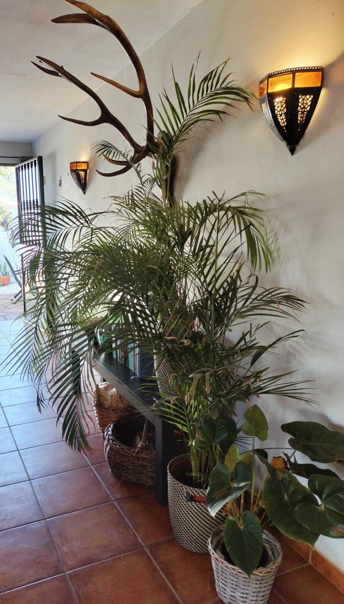 Todos Y Tonya Bed & Breakfast Archidona Ngoại thất bức ảnh