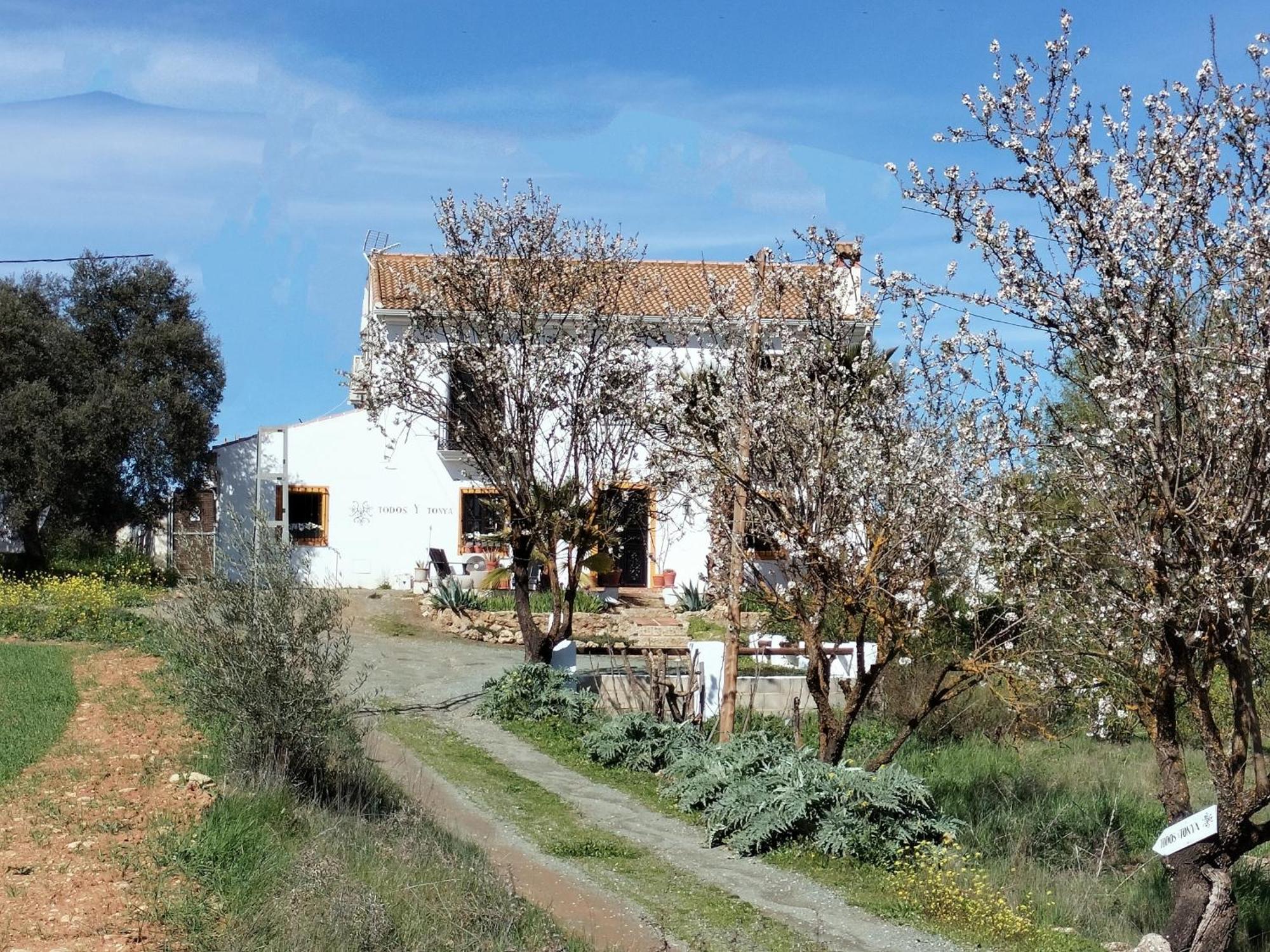 Todos Y Tonya Bed & Breakfast Archidona Ngoại thất bức ảnh
